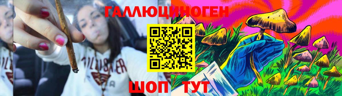Галлюциногенные грибы Psilocybe  Вход с VPN  продажа наркотиков  Электрогорск 